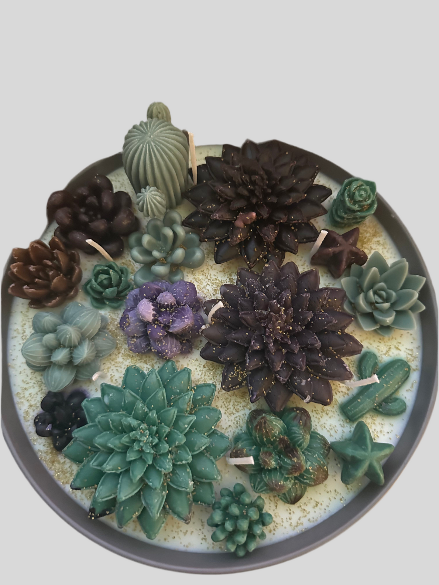 5 wickets succulent soy and beeswax candle