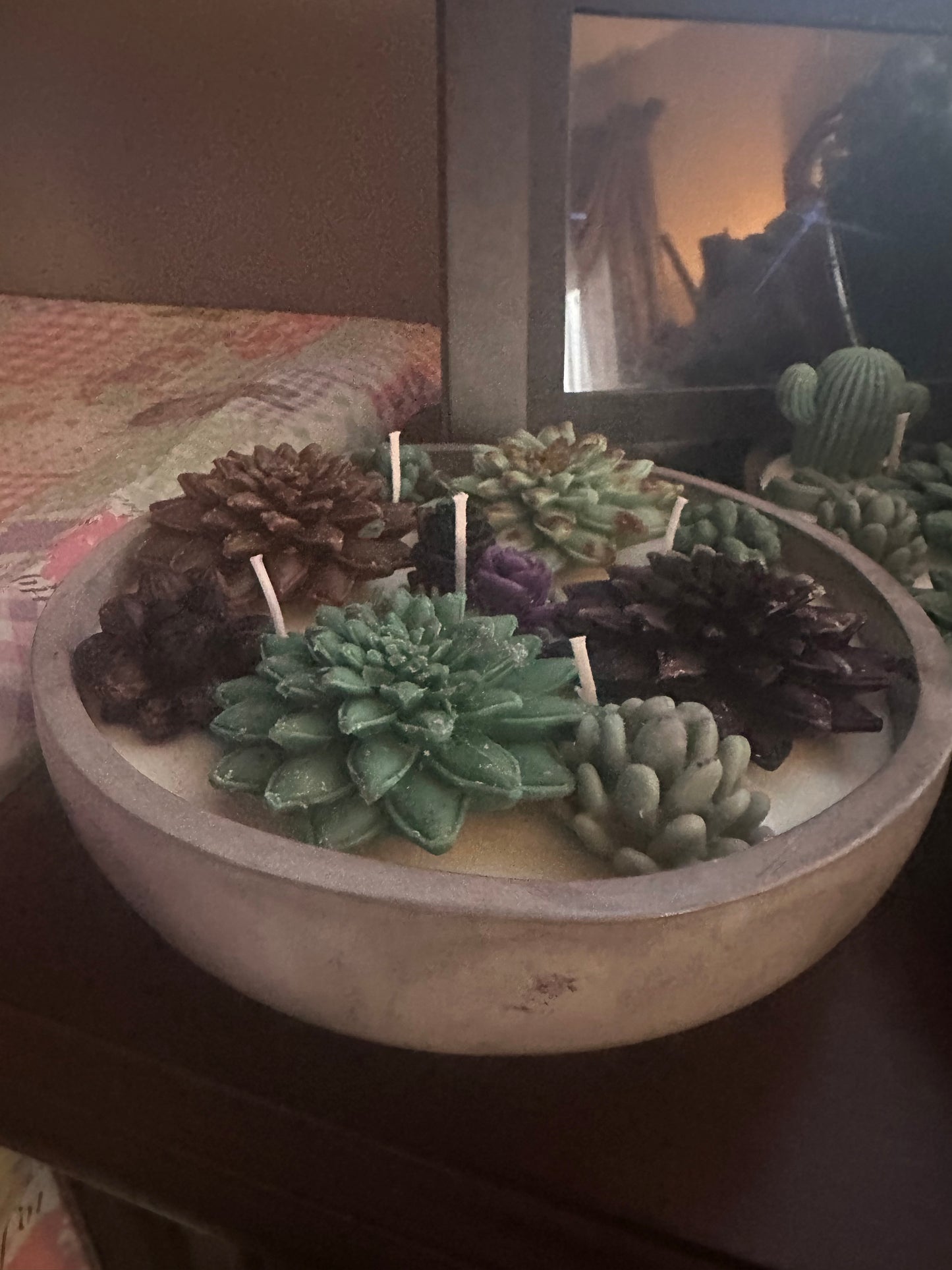5 wickets succulent soy and beeswax candle