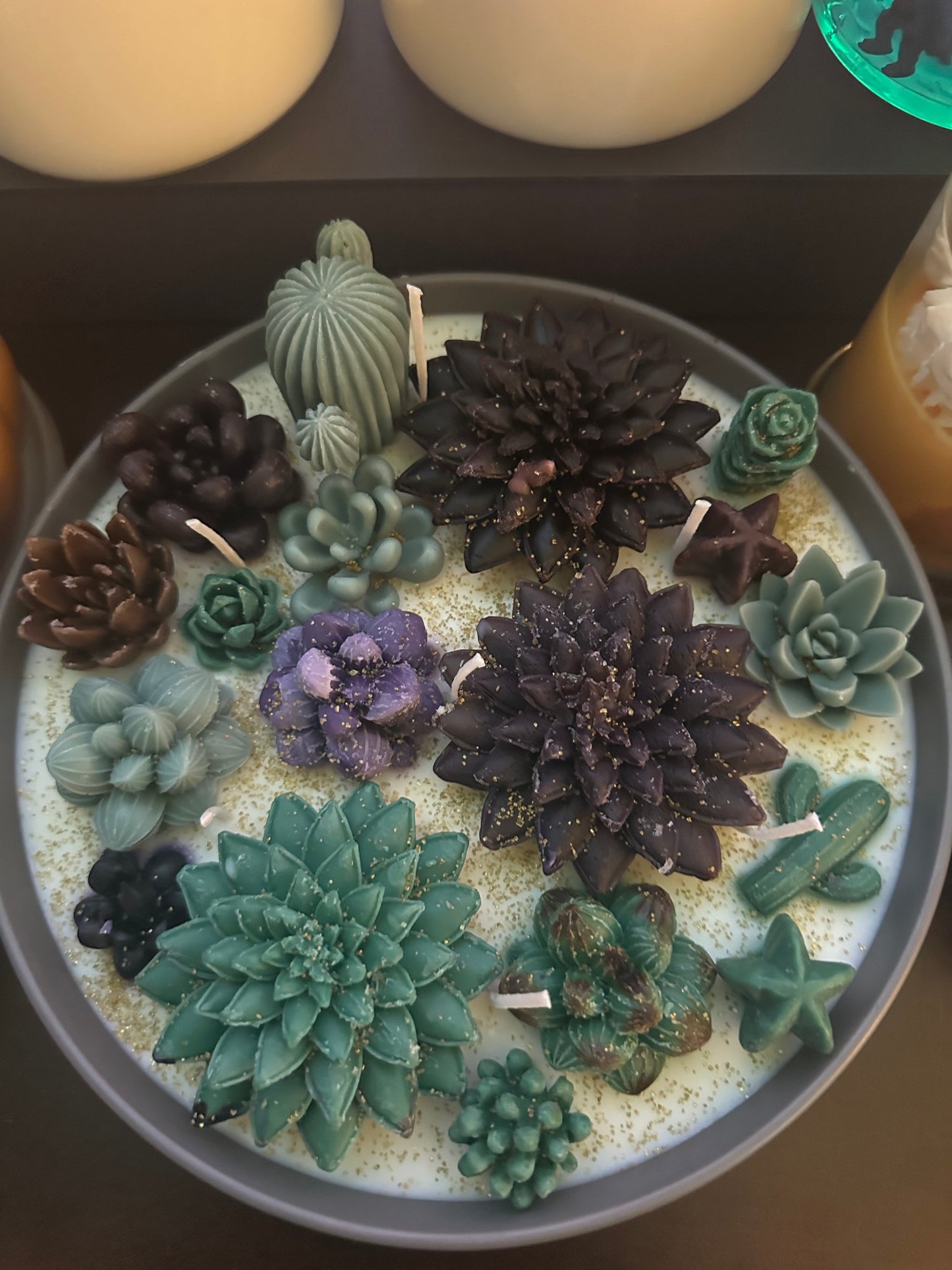 5 wickets succulent soy and beeswax candle