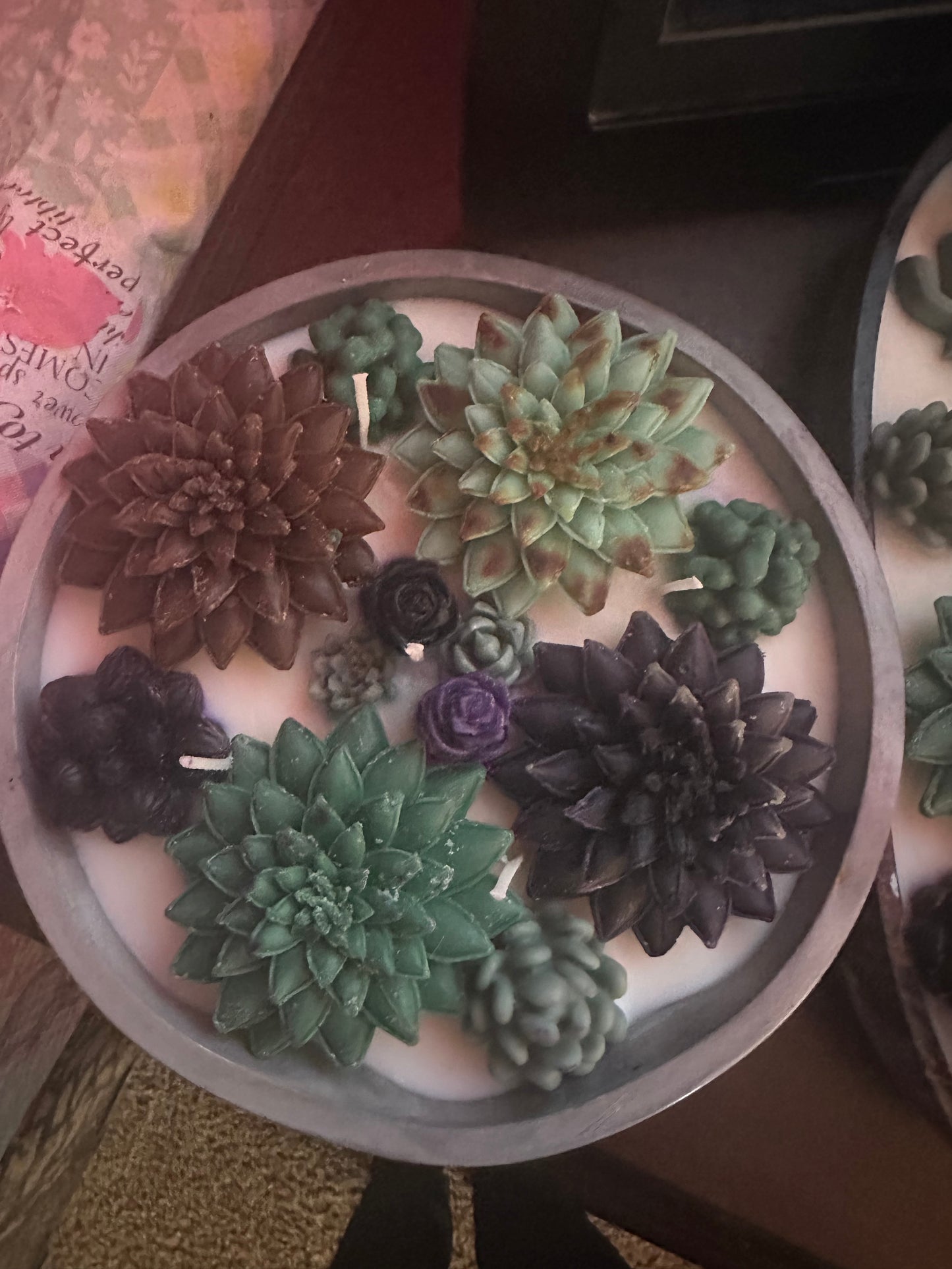 5 wickets succulent soy and beeswax candle