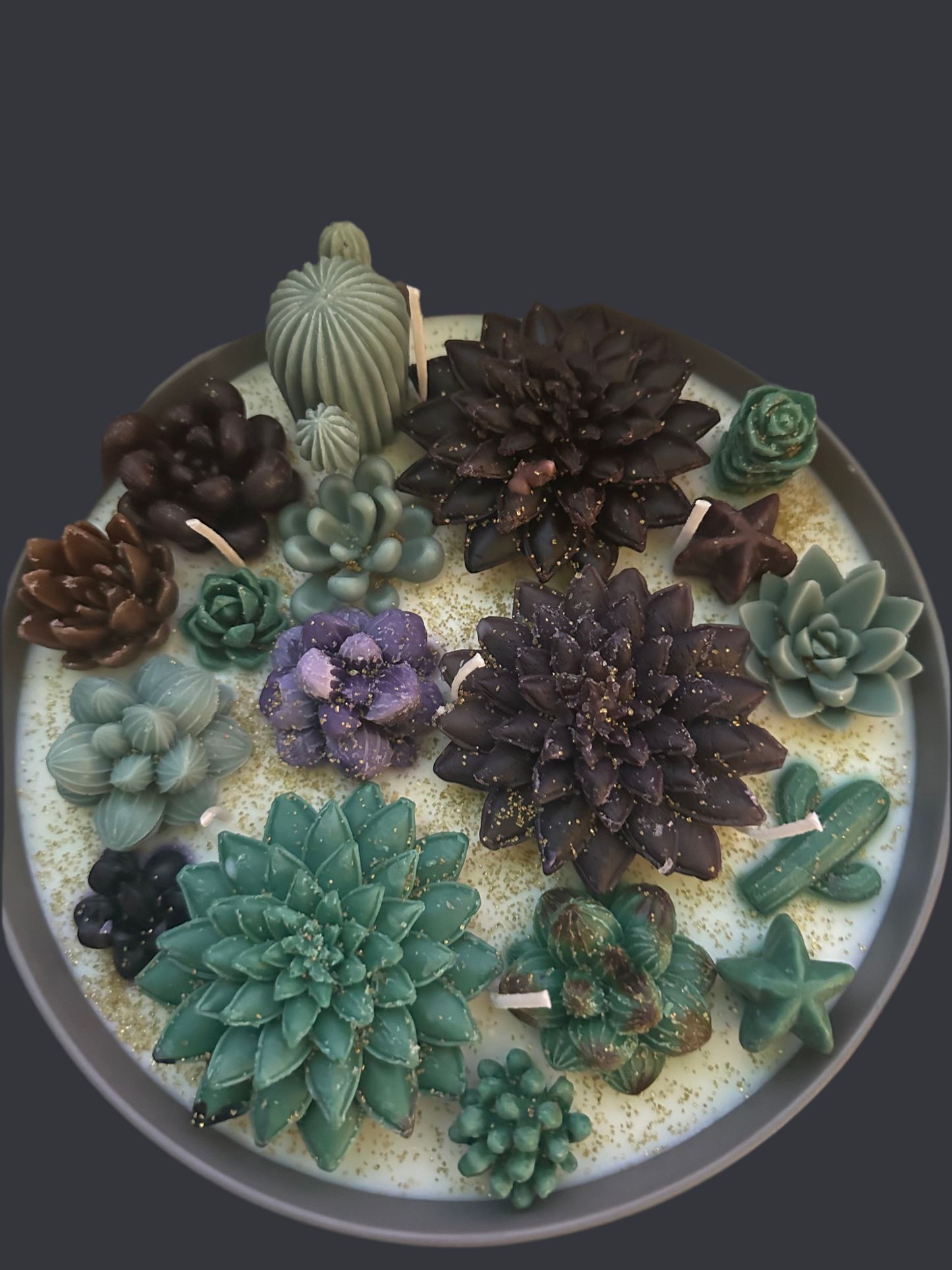 5 wickets succulent soy and beeswax candle