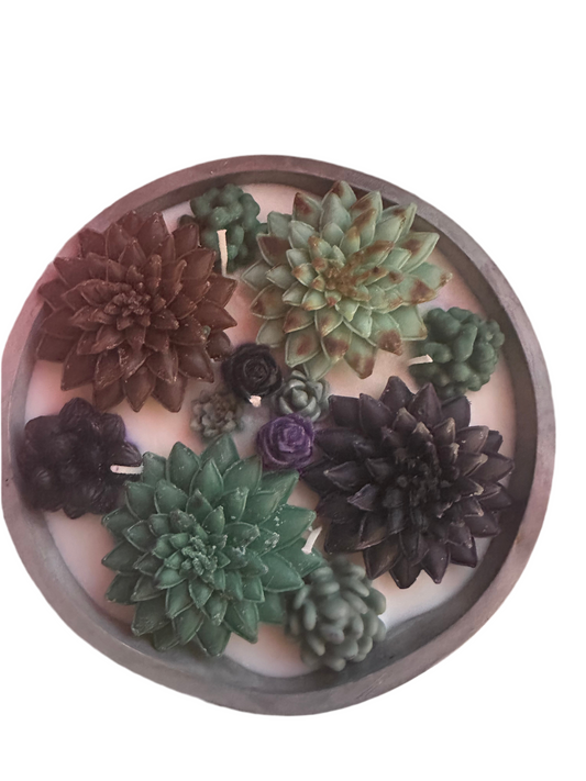 5 wickets succulent soy and beeswax candle