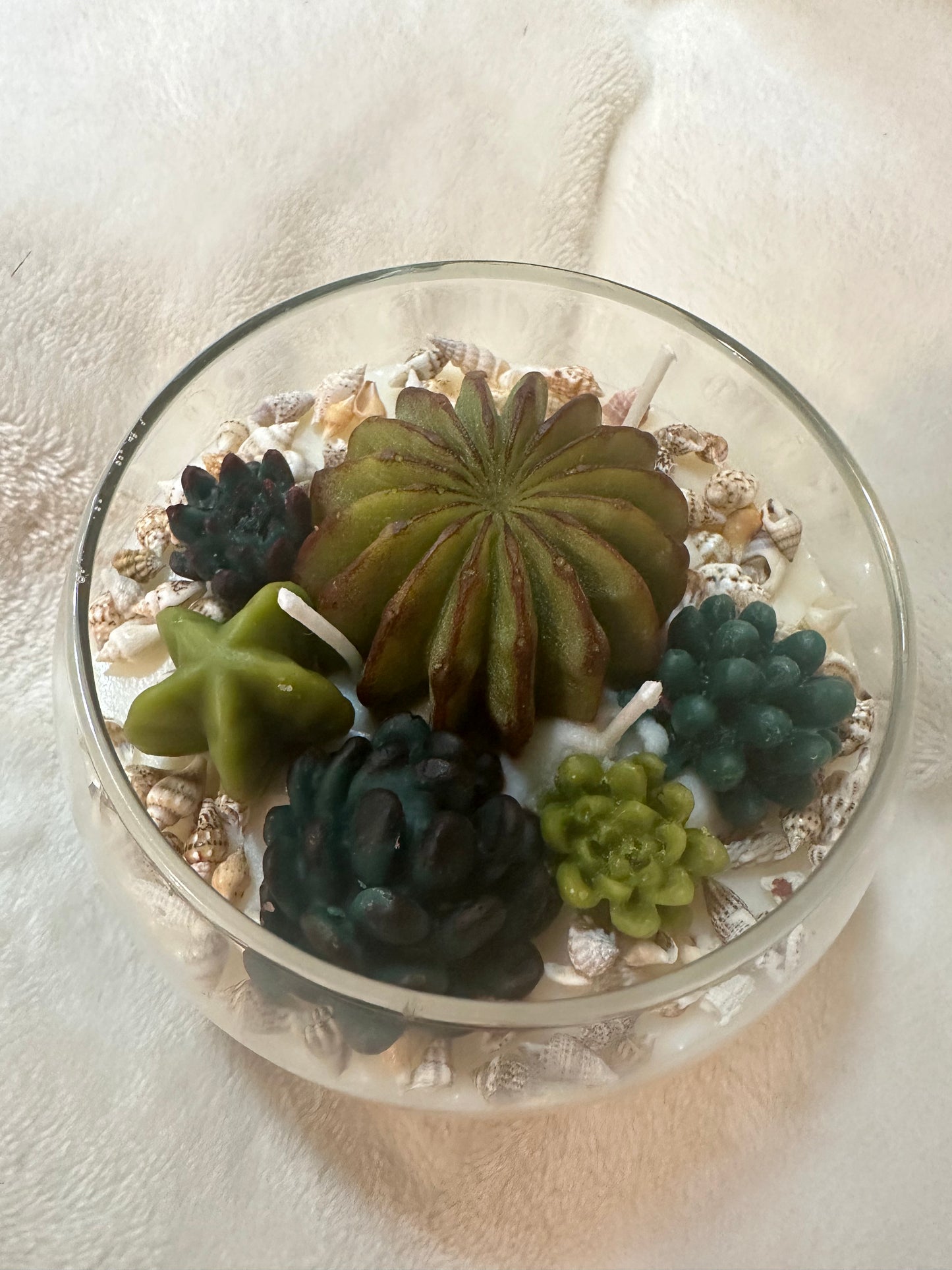 Succulent Soy Candle