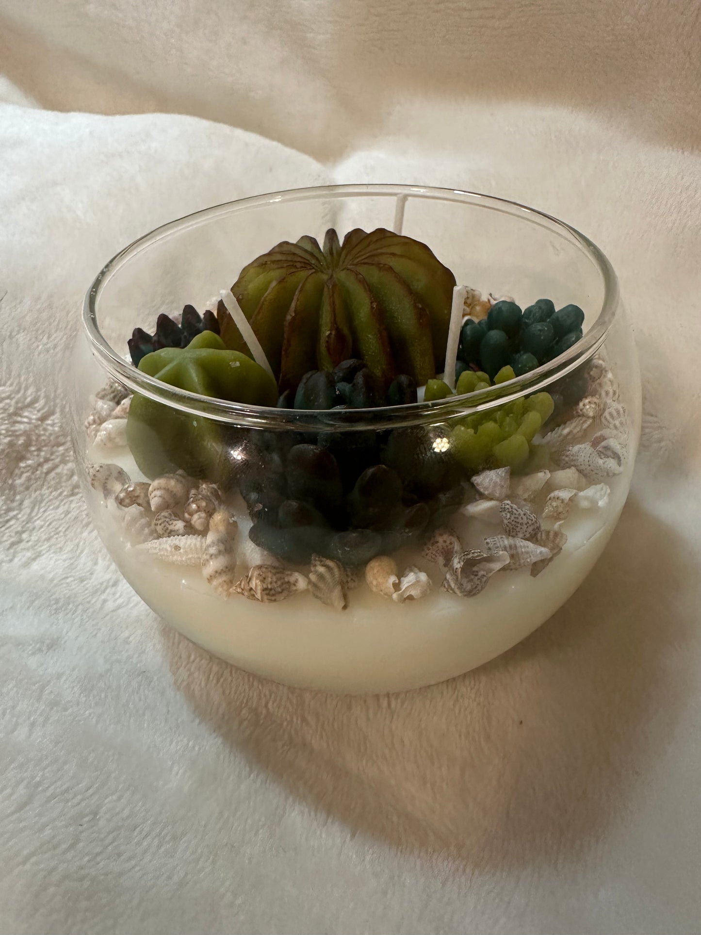 Succulent Soy Candle