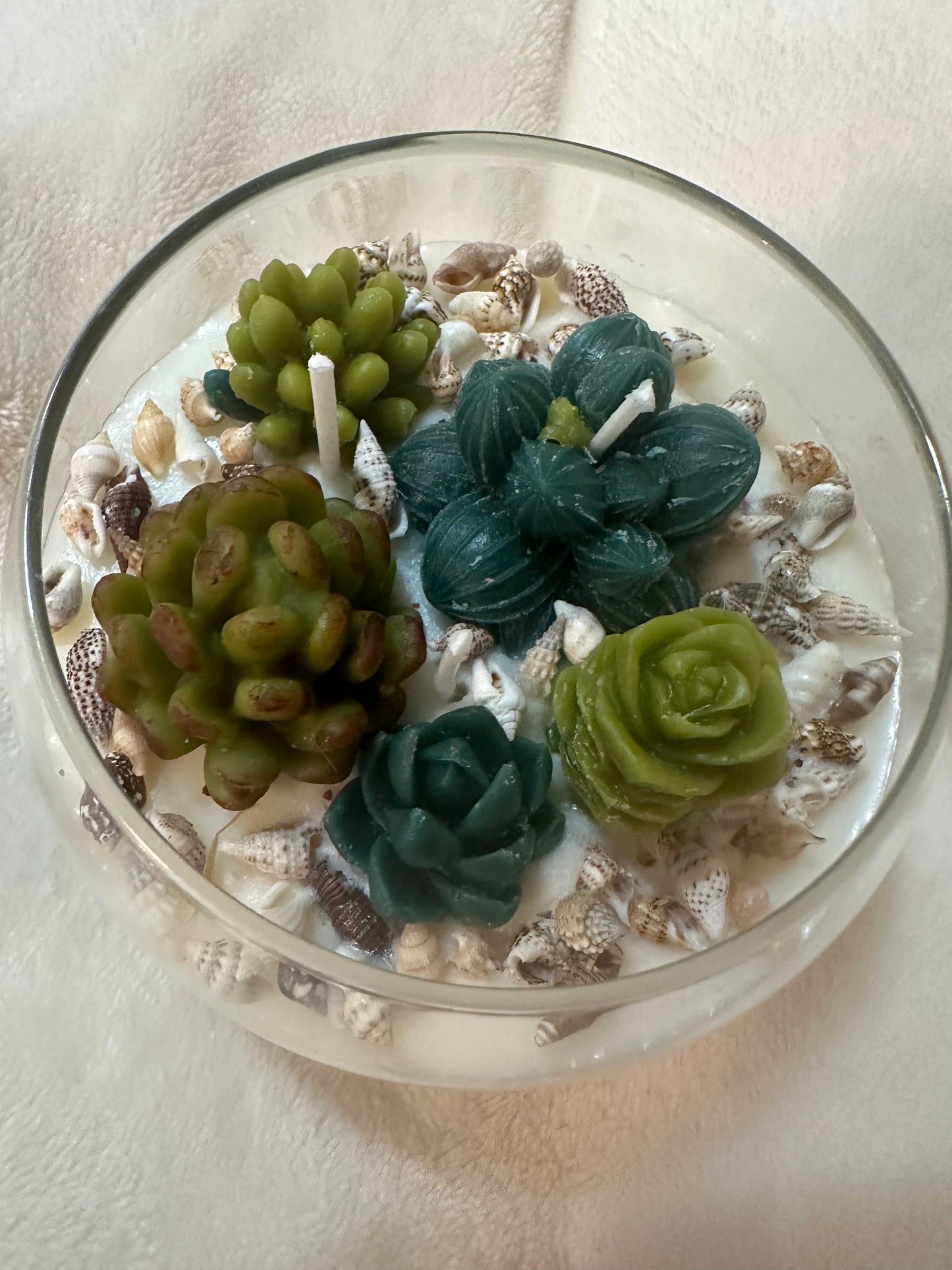 Succulent Soy Candle